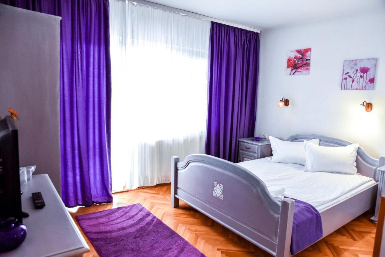 Pensiunea Vila Silva I Haţeg Exterior foto